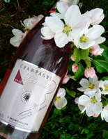 Le Champagne Dérouillat a été crée en 1929:Champagne rosé Arthémia
