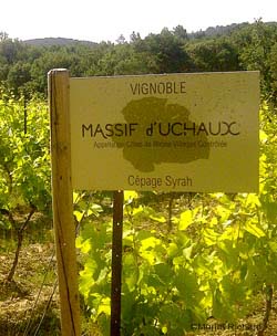 Le vignoble du Massif d'Uchaux est composé à 22% de Syrah