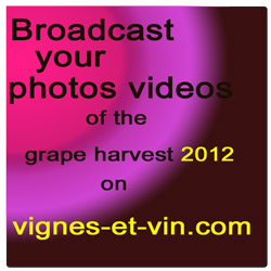 broadcast your photos videos of the grape harvest 2012