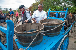 Oenotourisme: Un dimanche de vendanges au Domaine Guinand, par Aurore Castex