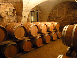 Oenotourisme: Un dimanche de vendanges au Domaine Guinand, par Aurore Castex