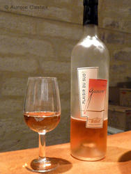 Oenotourisme: Un dimanche de vendanges au Domaine Guinand, par Aurore Castex