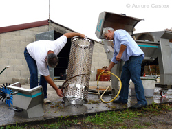 Oenotourisme: Un dimanche de vendanges au Domaine Guinand, par Aurore Castex