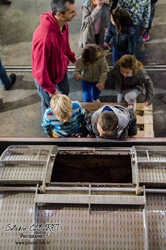 Oenotourisme à la cave coopérative des vignerons de St Felix St Jean par Aurore Castex