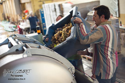 Oenotourisme à la cave coopérative des vignerons de St Felix St Jean par Aurore Castex