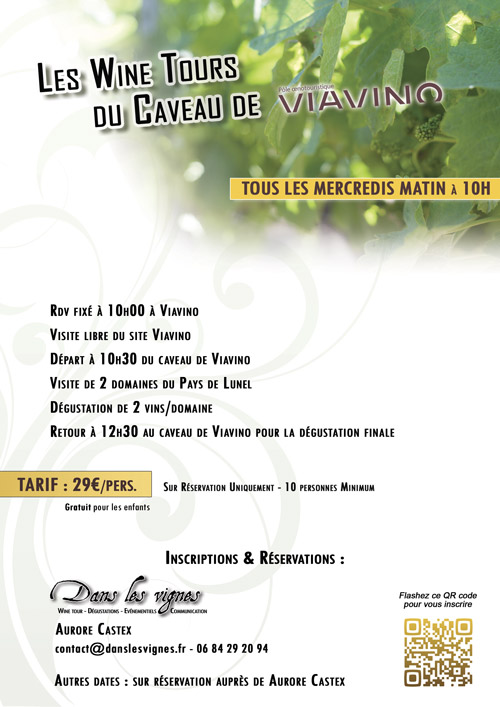 WINE TOUR au Caveau de Viavino