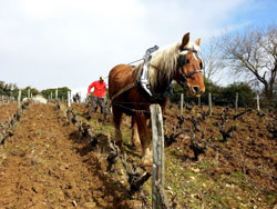 Travail du sol à cheval