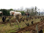 Travail du sol à cheval