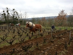 Travail du sol à cheval
