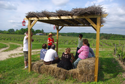 Le domaine Sauvète vous accueille