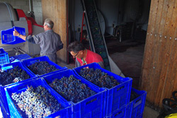 Cuvée Passion du domaine Sauvete